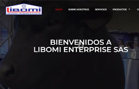 Proyecto 4