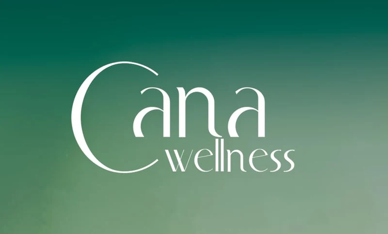 Logo Ana Wellness